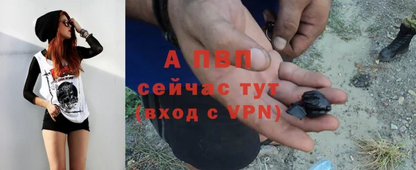 крисы Няндома