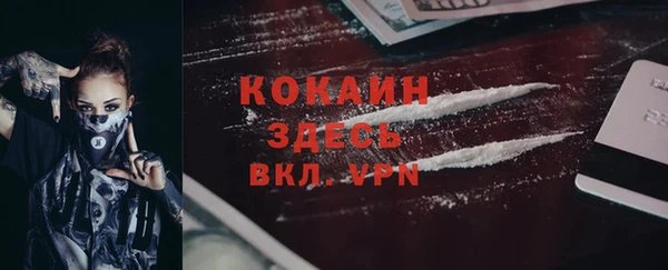 крисы Няндома