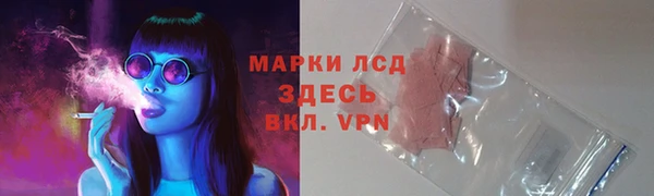 крисы Няндома