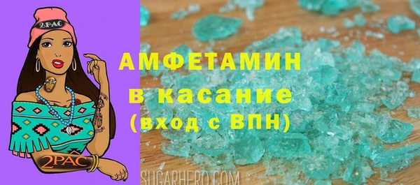 крисы Няндома
