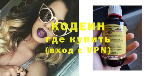 крисы Няндома